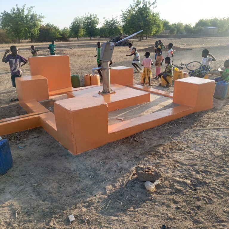 Lire la suite à propos de l’article 26-241 – Fourniture d’eau potable, reboisement et amélioration de l’hygiène dans 2 villages – Nouvelle Planète